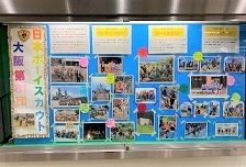 展示の様子