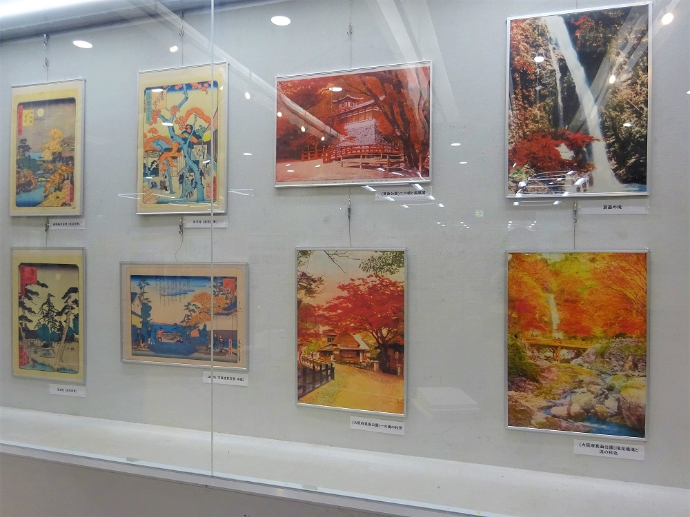 展示風景3