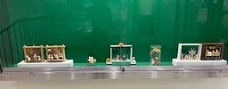 ケース展示の様子1