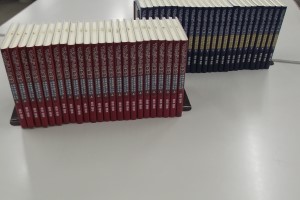 全体写真