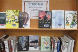 展示の様子