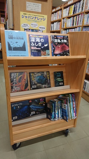 図書展示海の世界展の写真2