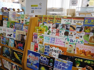 展示の写真