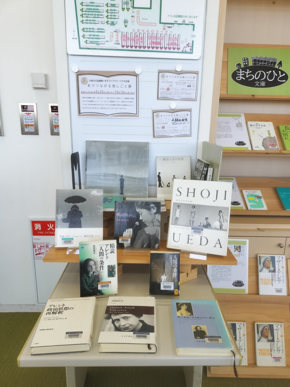 展示の写真