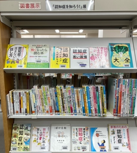 展示の写真