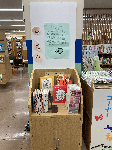 展示の様子