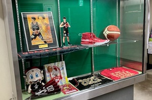 展示風景