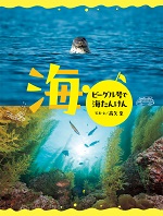 海