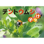 テントウムシみっけ!　(ふしぎみつけた!)