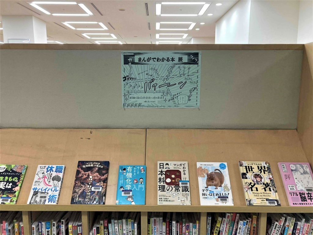 展示の様子