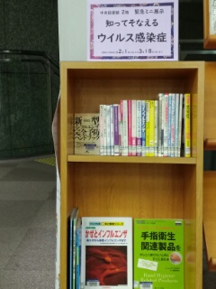 展示写真