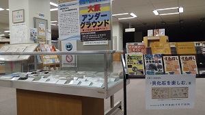 展示写真
