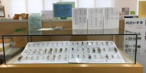 川だいすき　写真