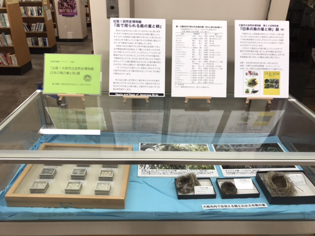 日本の鳥の巣と卵　展示風景