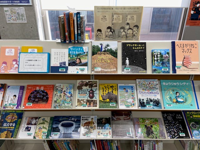 展示の写真