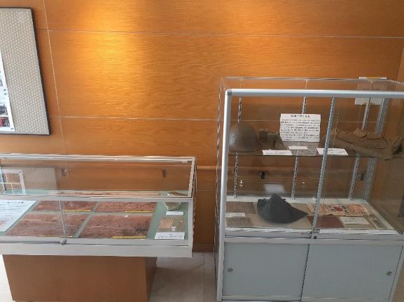 ケース展示写真