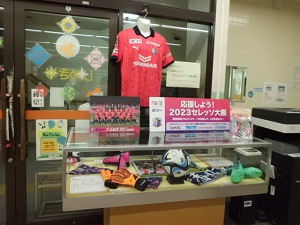 セレッソ展写真１