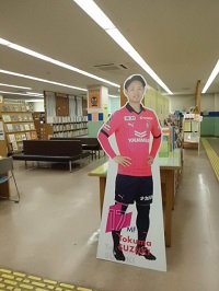 セレッソ展写真２
