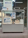 展示の様子