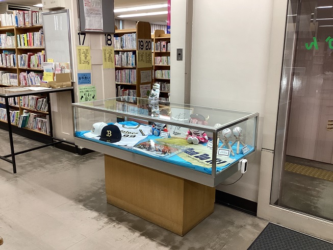 展示全景