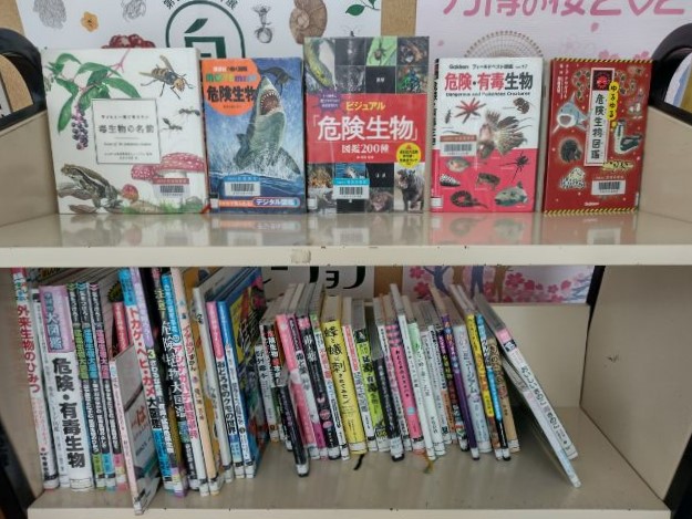展示の写真