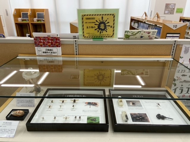 展示の写真