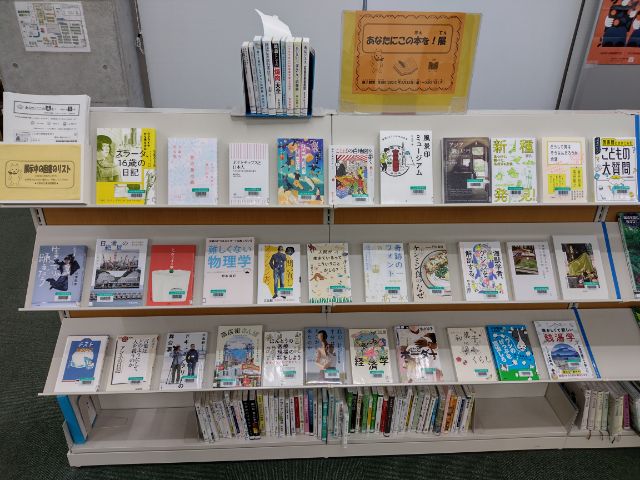 展示の写真