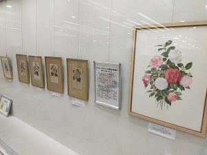 展示風景2