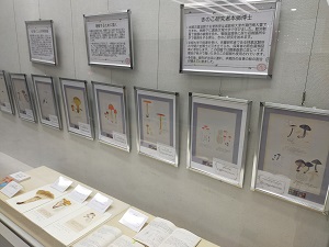 展示風景3