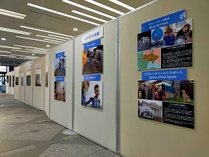 展示風景