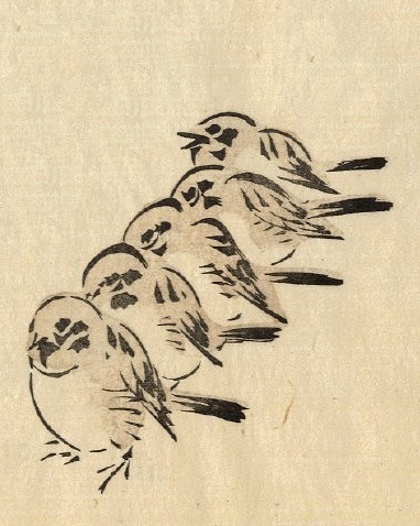 すずなりすずめ