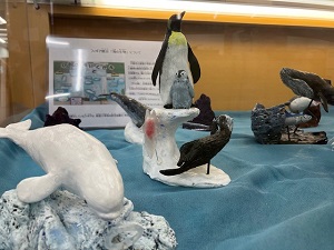 海獣写真その1