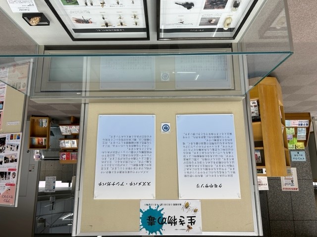 2階ケース展示
