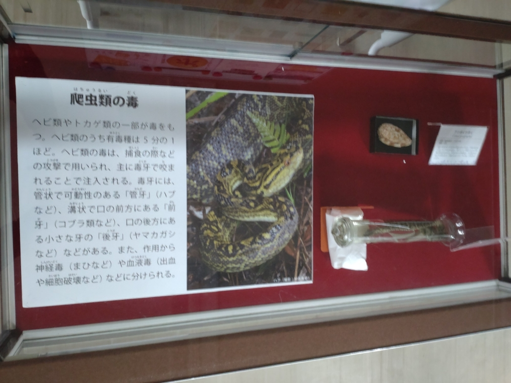 ケース展示2