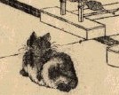 香箱を組むねこ