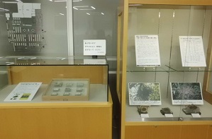 街で見られる鳥の巣と卵展の写真