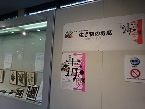 展示風景1