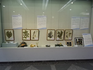 展示風景2