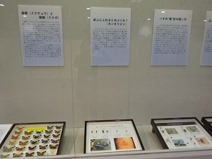 展示風景3