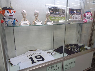 展示の写真１