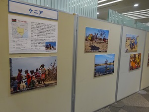 展示風景2