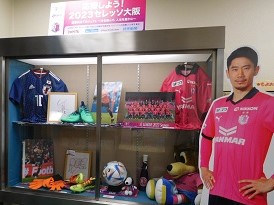 ケース展示の様子(全景)