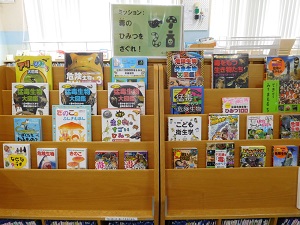 図書展示の様子