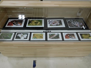 山本ゆたか写真展の写真1