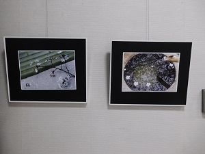 山本ゆたか写真展の写真2