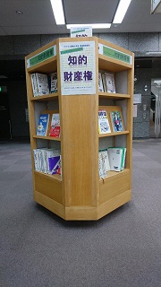 展示写真