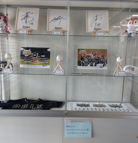ガラスケース展示