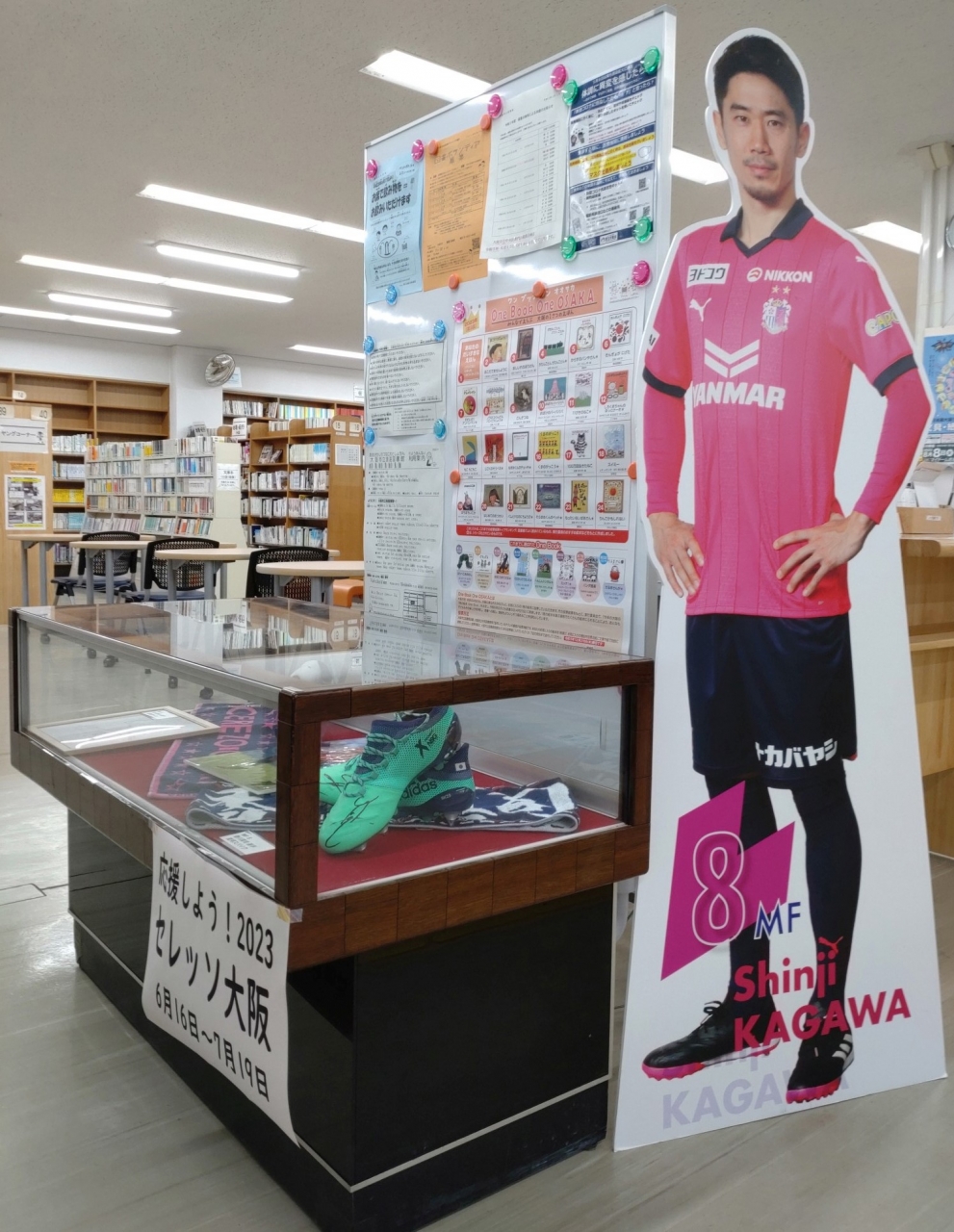 展示ケースセレッソ2