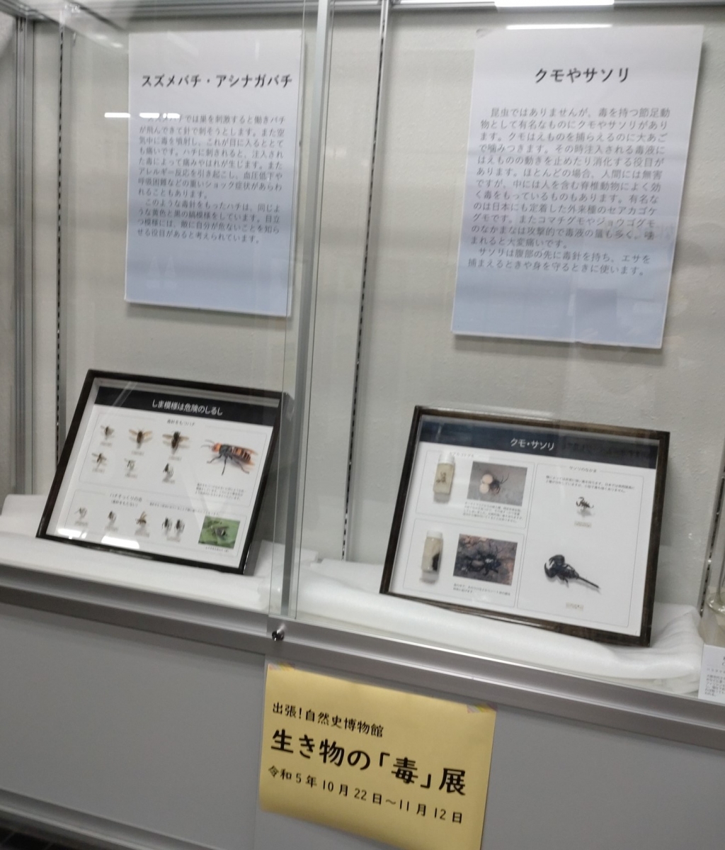 展示ケース１