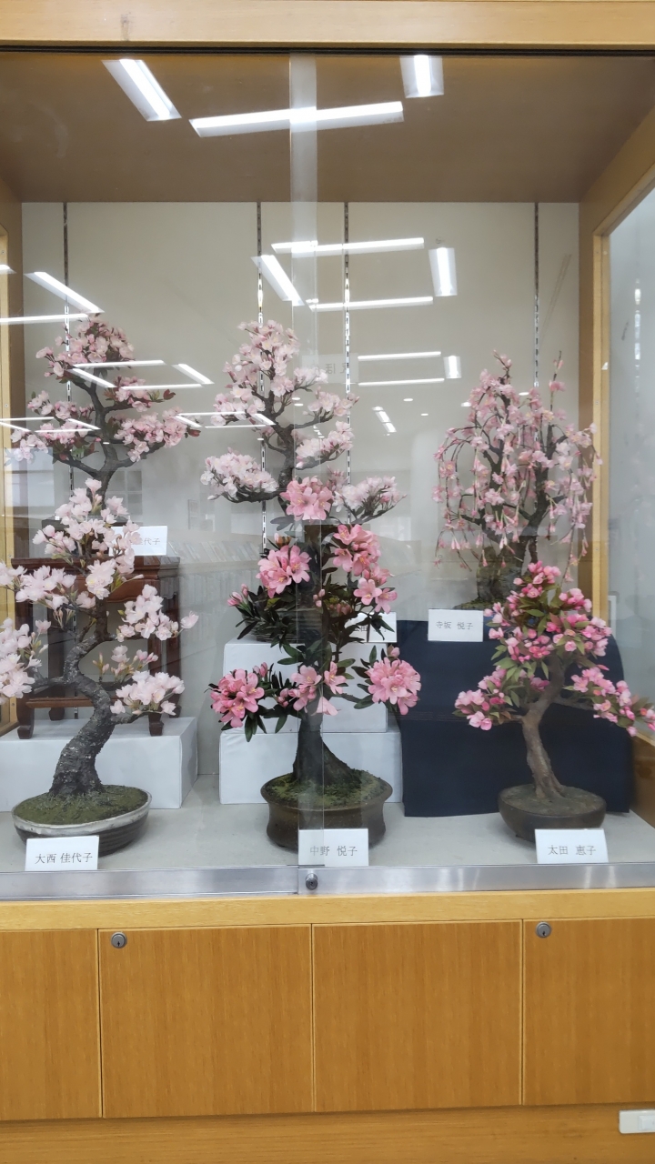 展示の写真6